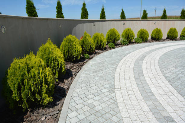 Best Commercial Driveway Pavers  in Clovis, NM